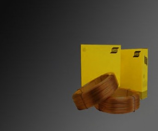 덮힌 아치 와이어 logo